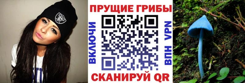 Псилоцибиновые грибы GOLDEN TEACHER  как найти закладки  Новомичуринск 